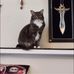 Lidia Bennett - Facebook