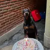 Lidia Camacho - @lidia.camacho__ - TikTok