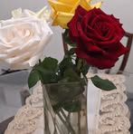 Lidia Forbes - Facebook