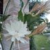 Lidia Freitas - Facebook