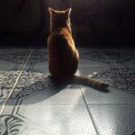 Lidia Gil - @lidia_gil.mr - Instagram