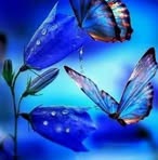 Lidia Ibarra - Facebook