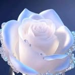 Lidia Ibarra - Facebook