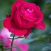 Lidia Lujan - Facebook