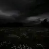 Lidia Osorio - @lidia.osorio497 - TikTok