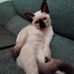 Lidia Osorio - Facebook