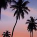 lidia paredes - Facebook