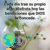Lidia Quinones - @lidia.quinones4 - TikTok