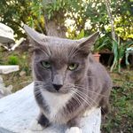 Lidia Santamaria - @santalidia20 - Instagram