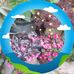 Lidia Serrano - Facebook
