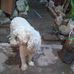 Lidia Serrano - Facebook