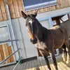 Lielu - @lielu_life - TikTok