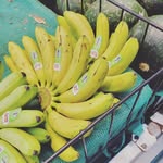 Liem Doan - @lordsenseix - Instagram