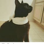 1234567890 - @lien.chan.1 - Instagram