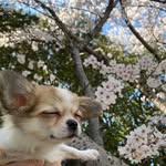 リアン - @lien_chan_1208 - Instagram