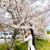 Liền - @lienchan2205 - TikTok