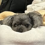 @lienchan_onlyone - Instagram