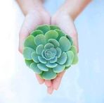 Lien Chong - Facebook