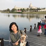 Chi Lien Hsu - @chilienhsu - Instagram
