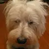 Lien Hsu - @lien.hsu - TikTok