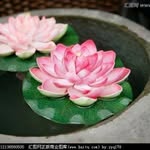 Liên Lai - @lien.lai.5680 - Instagram
