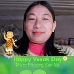 Lien Luong - @lienluong26 - Instagram