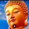 Lien Luong - @lien.luong482 - TikTok