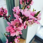 Lien Tran - @lientran1804 - Instagram