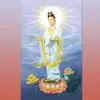 lienvong648 - @lienvong648 - TikTok