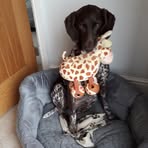 Liesl Brown - Facebook