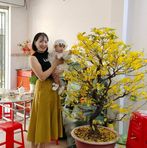 Liễu Lê - Facebook