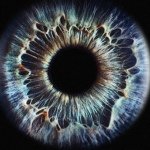 Joshua Smith - @lightsmith.images - Instagram