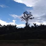 Ligia Obando - @obando9325 - Instagram