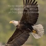 Ligia Obando Retana - @obandoretana - Instagram
