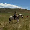 lil.y.brown - @lil.y.brown - TikTok