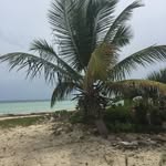 Lila Beatty - @eliseb2009 - Instagram