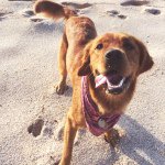Lila & Boyd - @lila.and.boyd - Instagram