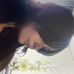 Lila Gough-Boyd - Facebook