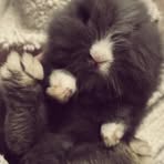 Layla Bruce - Facebook