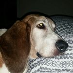 Lila Bruce - @lilabruce - Instagram