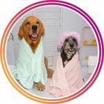 Lila Cinzenta & Bruce Dourado - @lila_brucewayne - Instagram