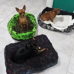 @lila.coyiyo.piki - Instagram