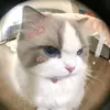 LILAC_ROWRR - @lilacoyp3 - TikTok