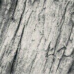 Lila Davidson - @lilasphotography - Instagram