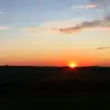 liladavidson0 - @liladavidson0 - TikTok
