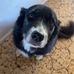 Lilah De Vries - Facebook