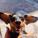 Lila dias - @lila_dias13 - Instagram