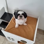 Lila dias - @lilinha_2014 - Instagram