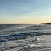 Lila - @lila.doyle6 - TikTok