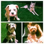 Floyd Lila Ziggy - @ziggyfloydlila - Instagram